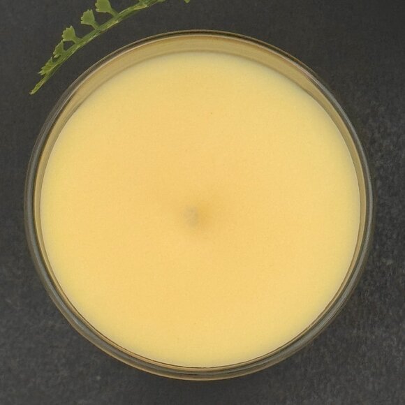 BBW Fresh Amalfi Lemon Bath & Body Works Single Wick Candle - Picture 7 of 10